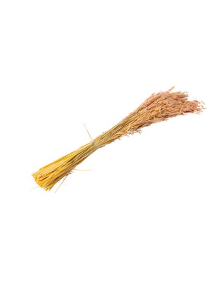 Epis D\'Avoine Sechee Roses Env 100Gr 73cm Faites La Fête A trier Epis D\'Avoine Sechee Roses Env 100Gr 73cm Faites La Fête A trier
