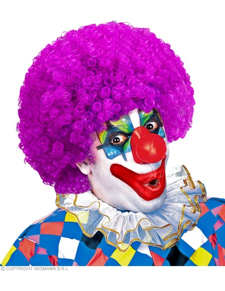 Perruques Clown Adulte - Unisex GRP60048