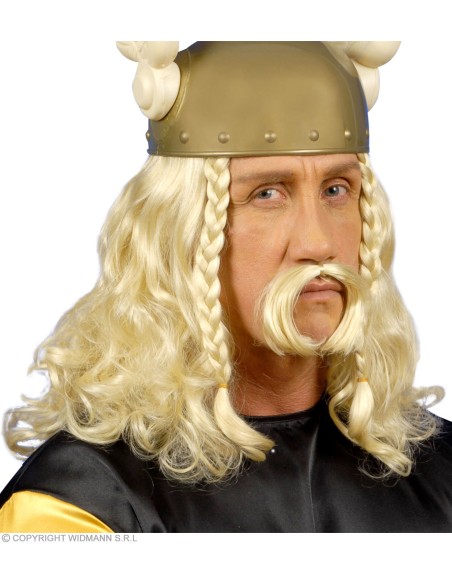 Perruques Vikings celtiques et Gaulois Adulte - Homme GRPV6263