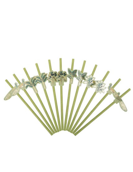 12 Pailles Tropical Peacock Dégradéde Vert Amande et Or 19,5 cm Faites La Fête Accessoires de décoration