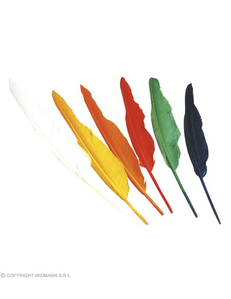 Accessoires Indiens set de 12 plume indienne 6 coul. Ass. Adulte - Unisex GRP3303P