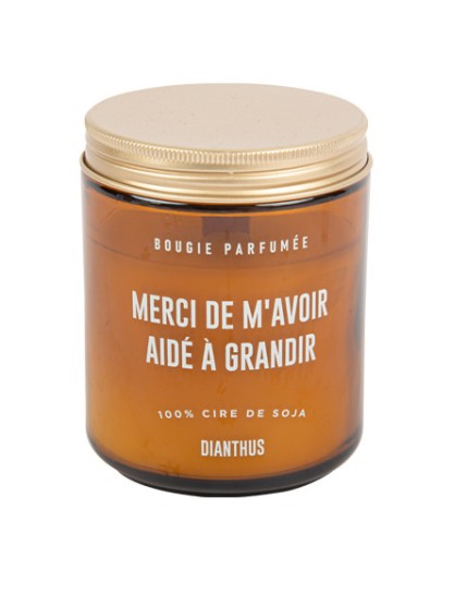 Bougie Cire de Soja \"Merci de M\'avoir Aidé à Grandir\" Parfum Dianthus Faites La Fête Accessoires de décoration