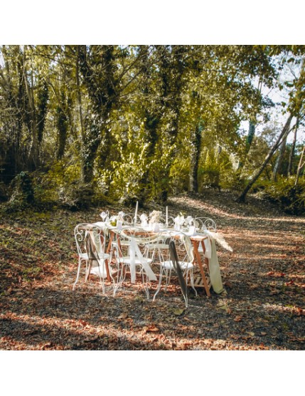 8 Assiettes Sauge Green Blanches, Vert Sauge et Or 22.5cm Faites La Fête Accessoires de décoration