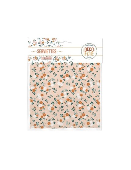 Pack 12 Serviettes Boheme Fille Faites La Fête Accessoires de décoration