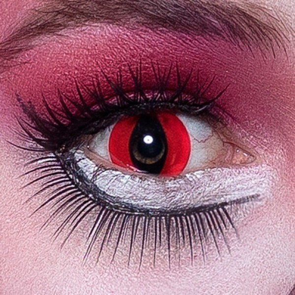 Lentilles de semaine Crazy cat
