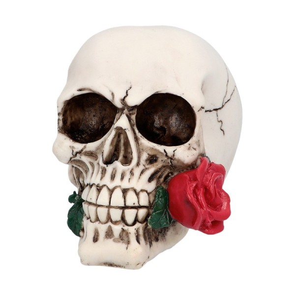 Tête de mort Casanova (9.8 x 10.5 x 13.5 cm)