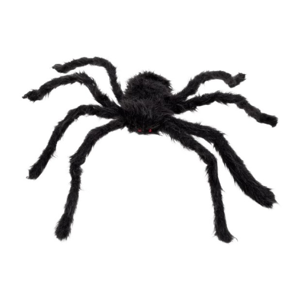 Araignée velue noir (50 x 65 cm)