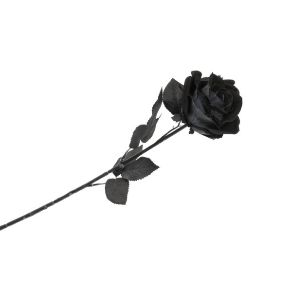 TIGE ROSE NOIRE HALLOWEEN 65CM