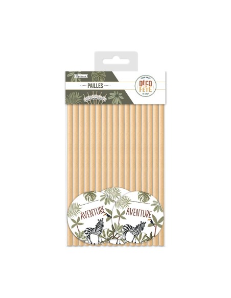 Pack 18 Pailles Explorateur