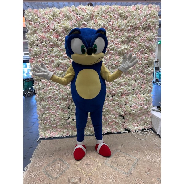 Location mascotte Sonic