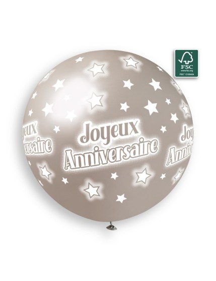 Sachet de 1 ballon anniversaire imprimé Joyeux Anniversaire Faites La Fête Ballons & Arches