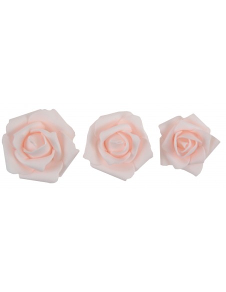 Assortiment de roses Rose