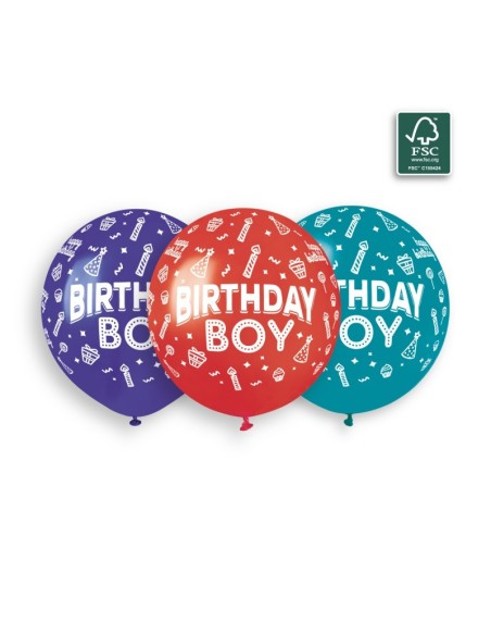 Sachet de 3 ballons anniversaire imprimé Birthday Boy